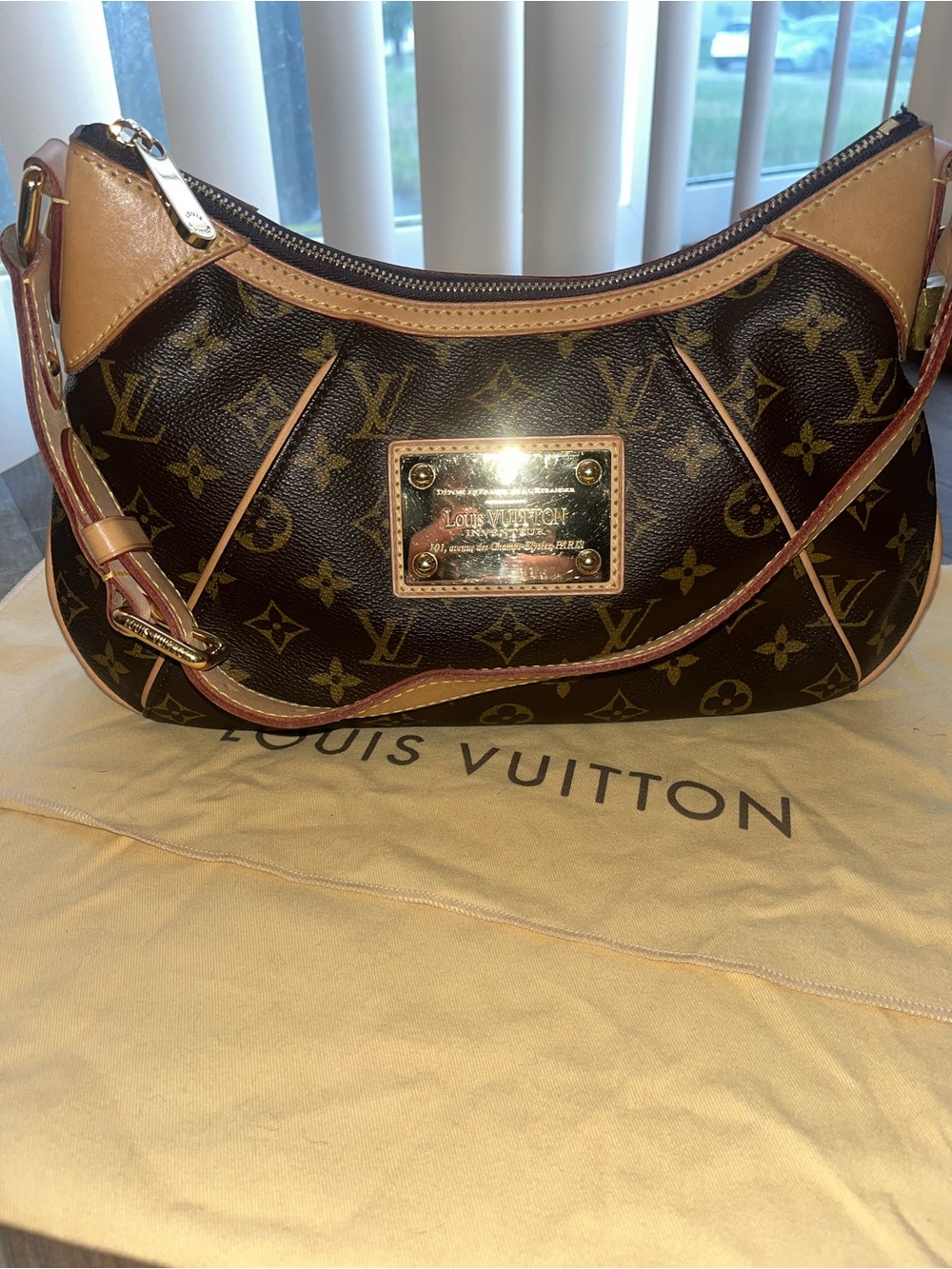 Louis Vuitton Thames bag